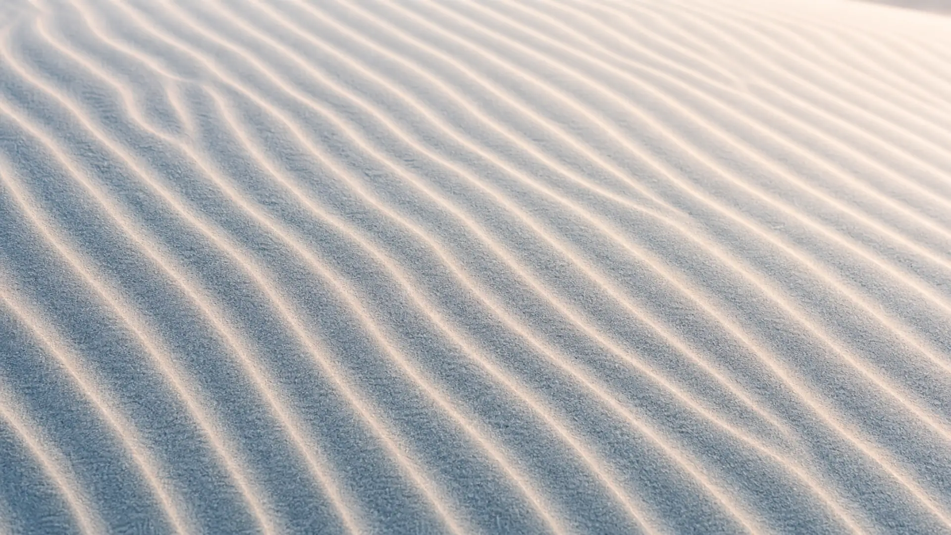 Fine lines of light and blue shadow across pale dune ripples