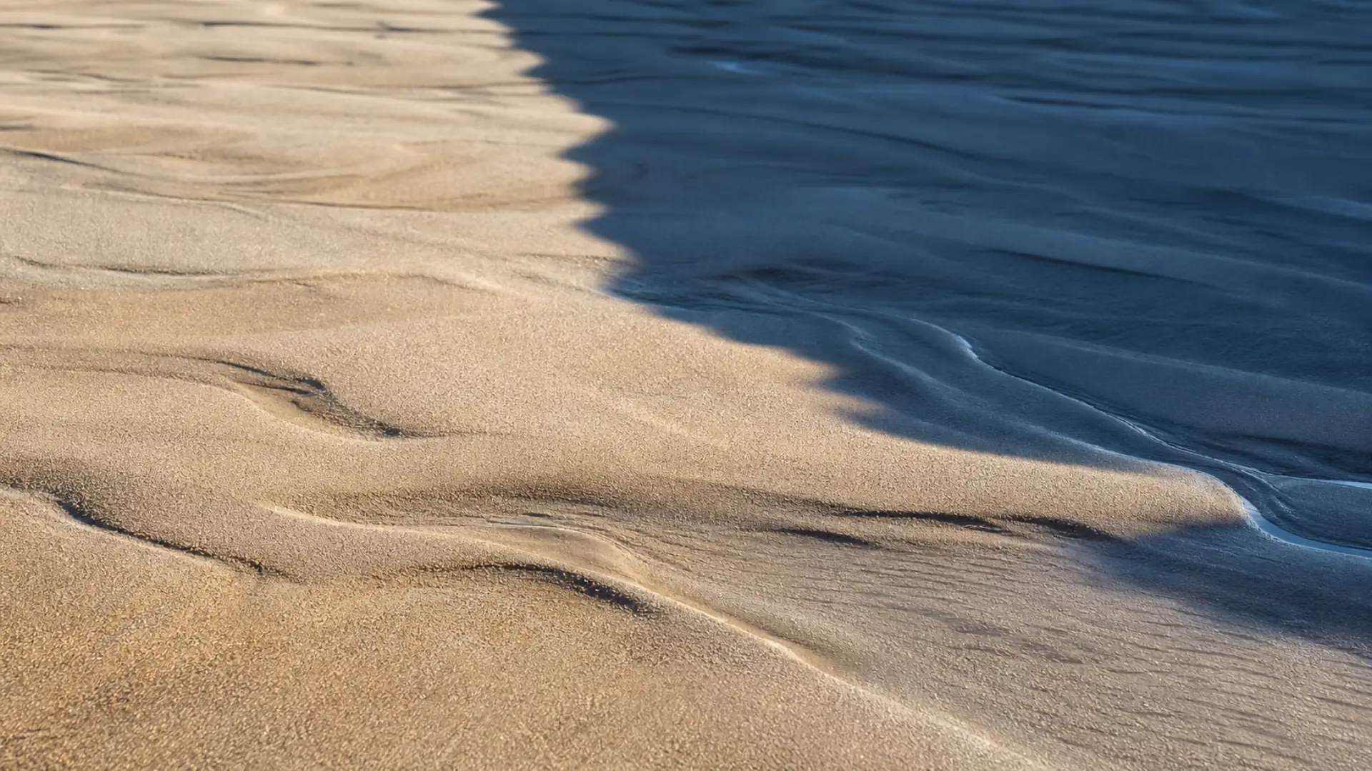 Morning light and a deep blue shadow meeting across a quiet sandbar